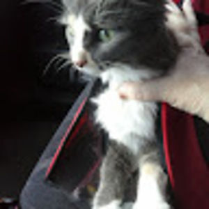 Meet your Posher, Pamela